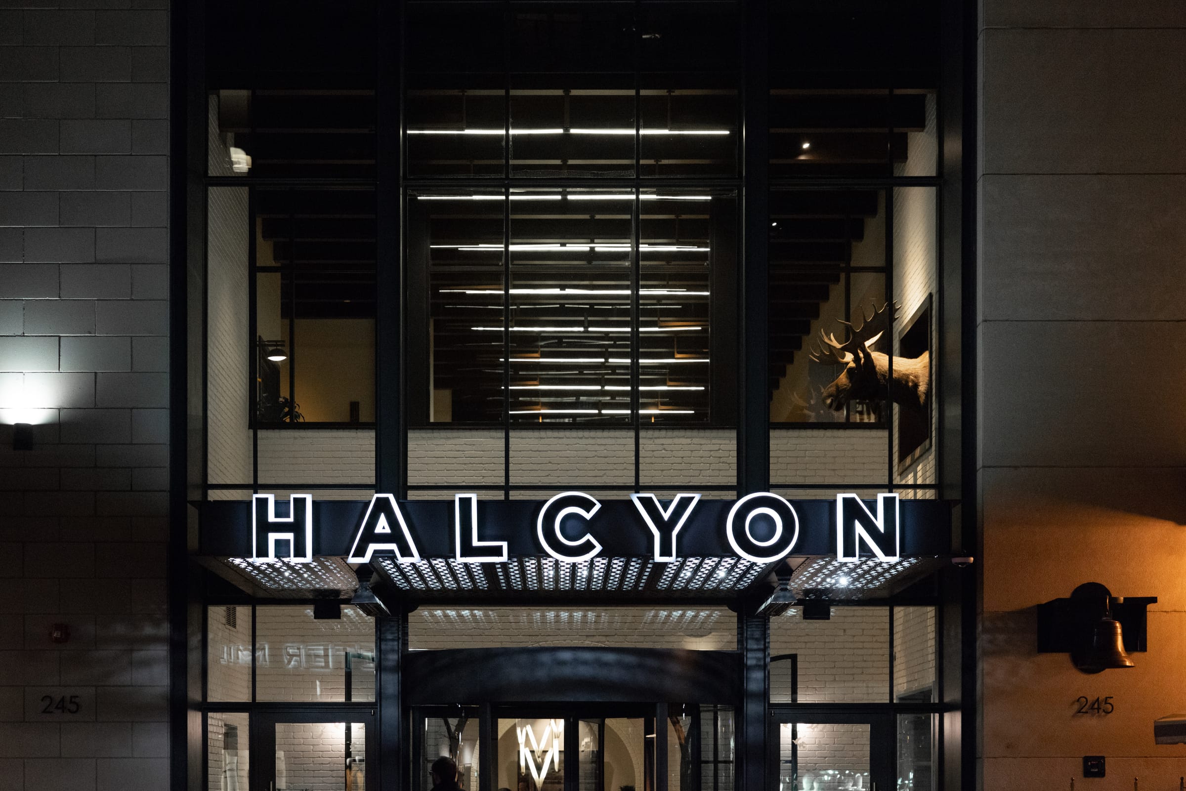 Halcyon