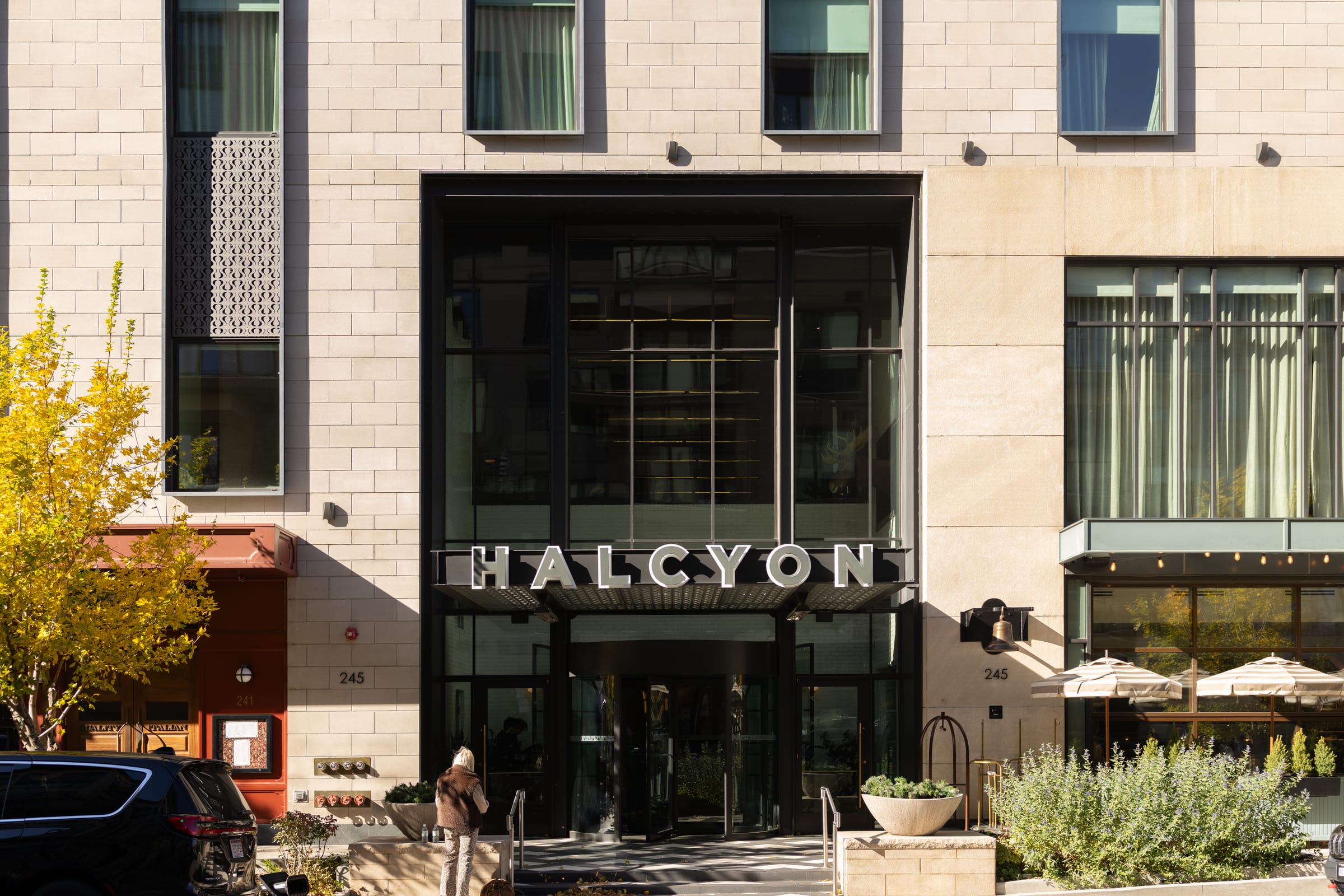Halcyon